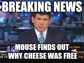 Fox news alert | BREAKING NEWS MOUSE FINDS OUT WHY CHEESE WAS FREE | image tagged in fox news alert | made w/ Imgflip meme maker