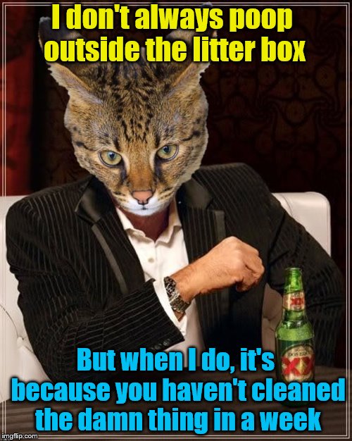 I don't always poop outside the litter box But when I do, it's because you haven't cleaned the damn thing in a week | made w/ Imgflip meme maker