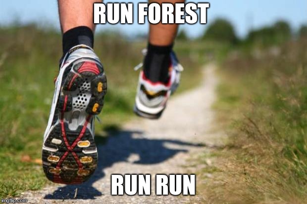 running shoes | RUN FOREST; RUN RUN | image tagged in running shoes | made w/ Imgflip meme maker