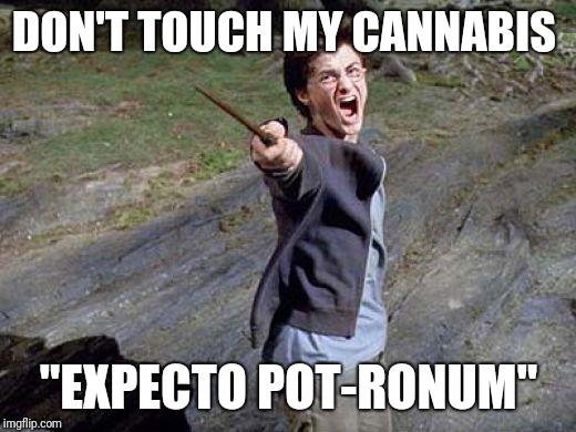 Harry Potter Yelling | DON'T TOUCH MY CANNABIS; "EXPECTO POT-RONUM" | image tagged in harry potter yelling | made w/ Imgflip meme maker