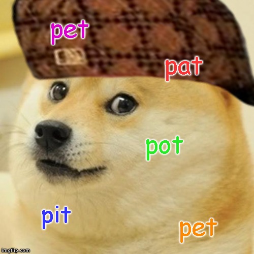 pet; pat; pot; pit; pet | image tagged in scumbag | made w/ Imgflip meme maker