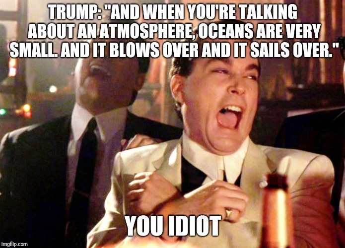 Good Fellas Hilarious | TRUMP: "AND WHEN YOU'RE TALKING ABOUT AN ATMOSPHERE, OCEANS ARE VERY SMALL. AND IT BLOWS OVER AND IT SAILS OVER."; YOU IDIOT | image tagged in memes,good fellas hilarious | made w/ Imgflip meme maker