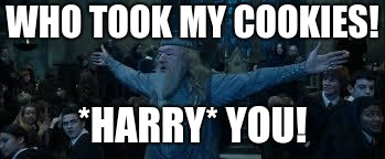 Harry Potter | WHO TOOK MY COOKIES! *HARRY* YOU! | image tagged in harry potter | made w/ Imgflip meme maker