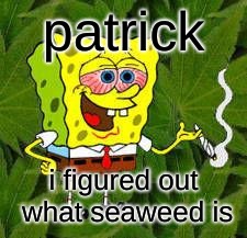 Weed | patrick; i figured out what seaweed is | image tagged in weed | made w/ Imgflip meme maker