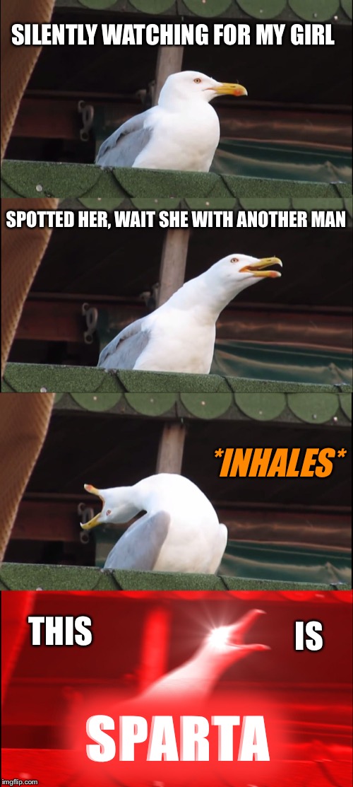 Inhaling Seagull | SILENTLY WATCHING FOR MY GIRL; SPOTTED HER, WAIT SHE WITH ANOTHER MAN; *INHALES*; IS; THIS; SPARTA | image tagged in memes,inhaling seagull | made w/ Imgflip meme maker