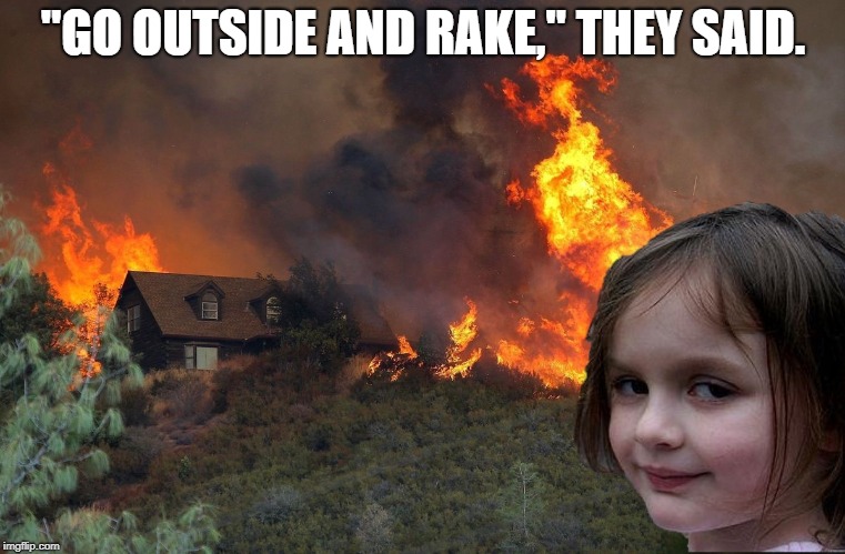 If only they had asked the right person. | "GO OUTSIDE AND RAKE," THEY SAID. | image tagged in wildfires,california fires,politics,funny | made w/ Imgflip meme maker