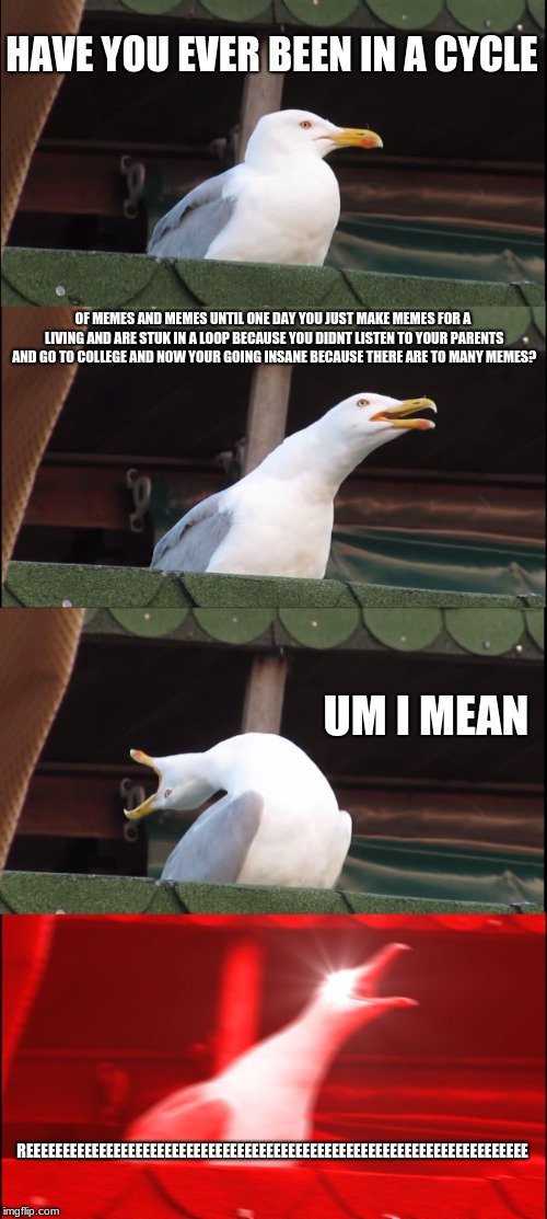 Inhaling Seagull Meme | HAVE YOU EVER BEEN IN A CYCLE; OF MEMES AND MEMES UNTIL ONE DAY YOU JUST MAKE MEMES FOR A LIVING AND ARE STUK IN A LOOP BECAUSE YOU DIDNT LISTEN TO YOUR PARENTS AND GO TO COLLEGE AND NOW YOUR GOING INSANE BECAUSE THERE ARE TO MANY MEMES? UM I MEAN; REEEEEEEEEEEEEEEEEEEEEEEEEEEEEEEEEEEEEEEEEEEEEEEEEEEEEEEEEEEEEEEEEEEEE | image tagged in memes,inhaling seagull | made w/ Imgflip meme maker
