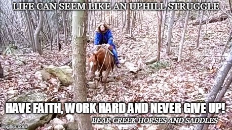 LIFE CAN SEEM LIKE AN UPHILL STRUGGLE; HAVE FAITH, WORK HARD AND NEVER GIVE UP! BEAR CREEK HORSES AND SADDLES | image tagged in uphill battle | made w/ Imgflip meme maker