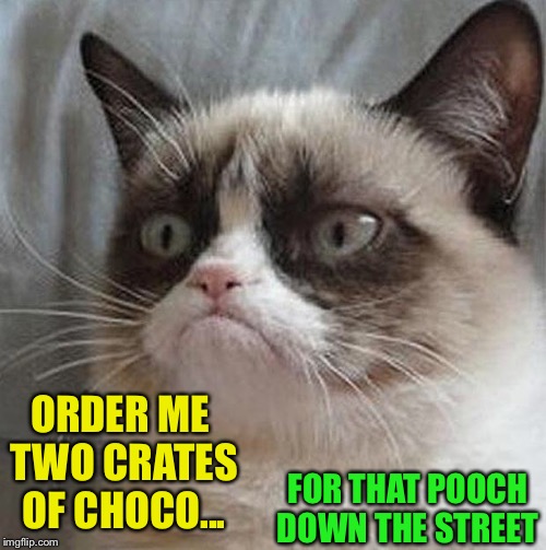 Angry cat | ORDER ME TWO CRATES OF CHOCO... FOR THAT POOCH DOWN THE STREET | image tagged in angry cat | made w/ Imgflip meme maker