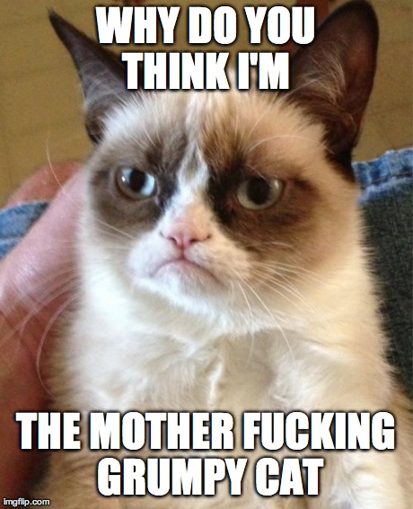 Grumpy Cat Meme | WHY DO YOU THINK I'M  THE MOTHER F**KING GRUMPY CAT | image tagged in memes,grumpy cat | made w/ Imgflip meme maker