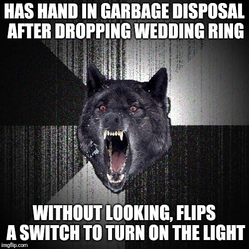 Luckily, it WAS the light switch O_0 | HAS HAND IN GARBAGE DISPOSAL AFTER DROPPING WEDDING RING; WITHOUT LOOKING, FLIPS A SWITCH TO TURN ON THE LIGHT | image tagged in memes,insanity wolf,everything went better than expected,close call | made w/ Imgflip meme maker