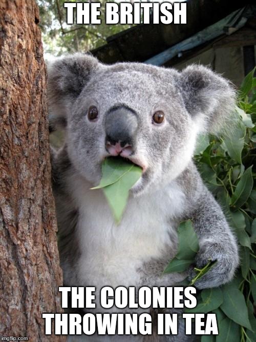 Surprised Koala Meme | THE BRITISH; THE COLONIES THROWING IN TEA | image tagged in memes,surprised koala | made w/ Imgflip meme maker