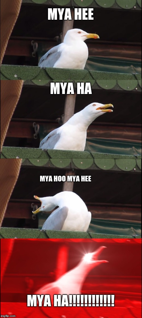Inhaling Seagull | MYA HEE; MYA HA; MYA HOO MYA HEE; MYA HA!!!!!!!!!!!! | image tagged in memes,inhaling seagull | made w/ Imgflip meme maker