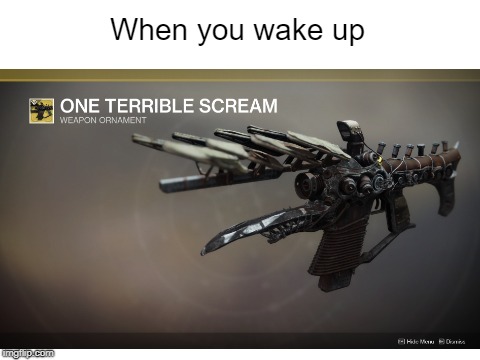 One Terrible Scream | When you wake up | image tagged in destiny,gun meme | made w/ Imgflip meme maker