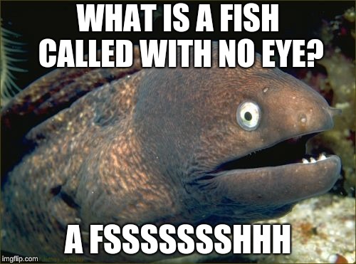 Bad Joke Eel Meme | WHAT IS A FISH CALLED WITH NO EYE? A FSSSSSSSHHH | image tagged in memes,bad joke eel | made w/ Imgflip meme maker