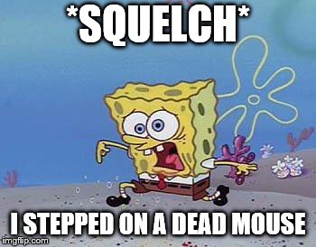 step on your right foot DONT FORGET IT | *SQUELCH* I STEPPED ON A DEAD MOUSE | image tagged in step on your right foot dont forget it | made w/ Imgflip meme maker