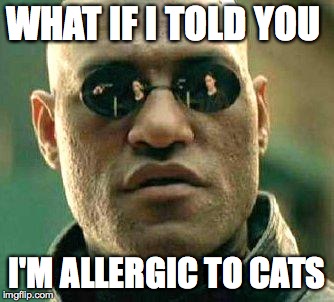 What if i told you | WHAT IF I TOLD YOU; I'M ALLERGIC TO CATS | image tagged in what if i told you | made w/ Imgflip meme maker