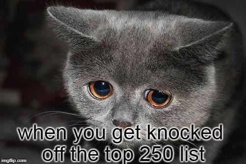 Sad cat | when you get knocked off the top 250 list | image tagged in sad cat | made w/ Imgflip meme maker