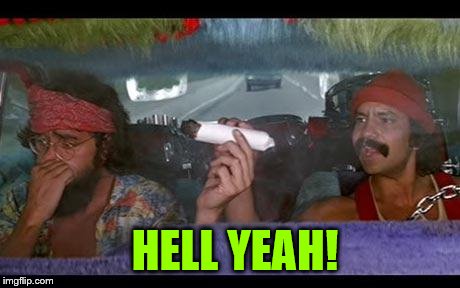 cheech chong | HELL YEAH! | image tagged in cheech chong | made w/ Imgflip meme maker