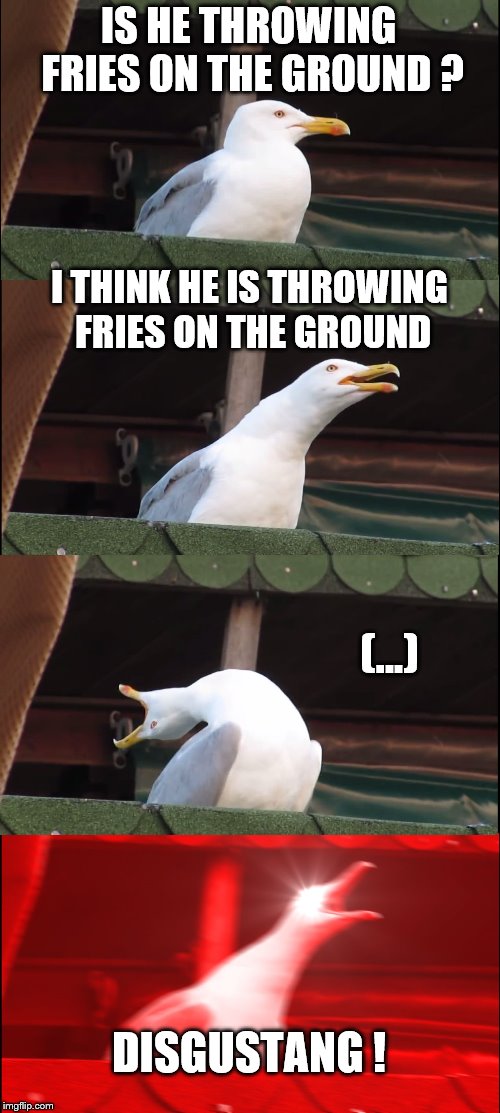 Inhaling Seagull Meme | IS HE THROWING FRIES ON THE GROUND ? I THINK HE IS THROWING FRIES ON THE GROUND; (...); DISGUSTANG ! | image tagged in memes,inhaling seagull | made w/ Imgflip meme maker