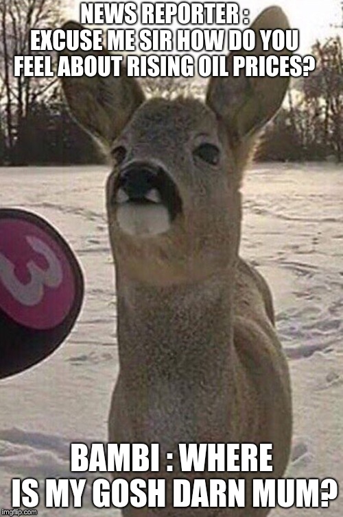 Deer Interview | NEWS REPORTER : EXCUSE ME SIR HOW DO YOU FEEL ABOUT RISING OIL PRICES? BAMBI : WHERE IS MY GOSH DARN MUM? | image tagged in deer interview | made w/ Imgflip meme maker