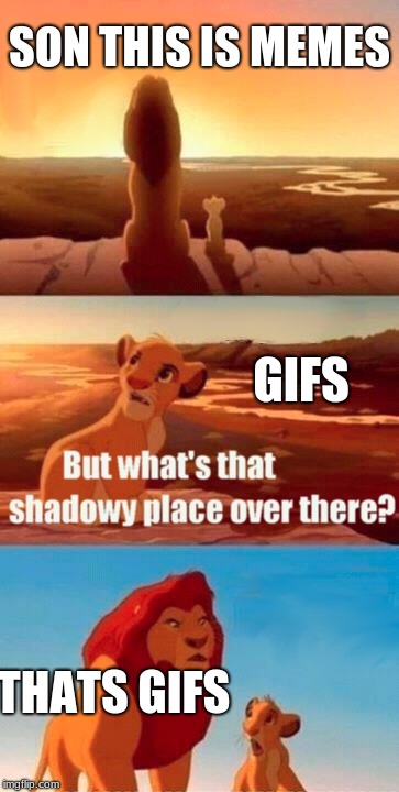Simba Shadowy Place Meme | SON THIS IS MEMES; GIFS; THATS GIFS | image tagged in memes,simba shadowy place | made w/ Imgflip meme maker