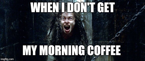Bellatrix Lestrange (Harry potter) | WHEN I DON'T GET; MY MORNING COFFEE | image tagged in bellatrix lestrange harry potter | made w/ Imgflip meme maker