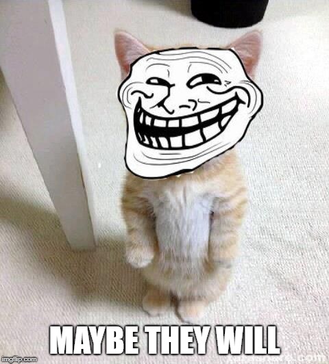 Troll Cat | MAYBE THEY WILL | image tagged in troll cat | made w/ Imgflip meme maker