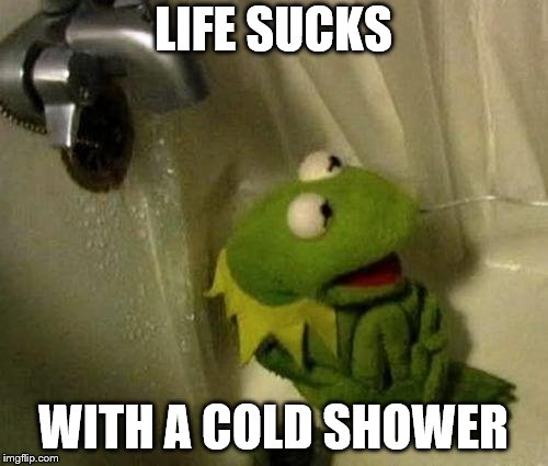 Kermit on Shower | LIFE SUCKS WITH A COLD SHOWER | image tagged in kermit on shower | made w/ Imgflip meme maker