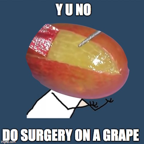 Y U NO DO SURGERY ON A GRAPE | Y U NO; DO SURGERY ON A GRAPE | image tagged in y u no,y u november,they did surgery on a grape | made w/ Imgflip meme maker