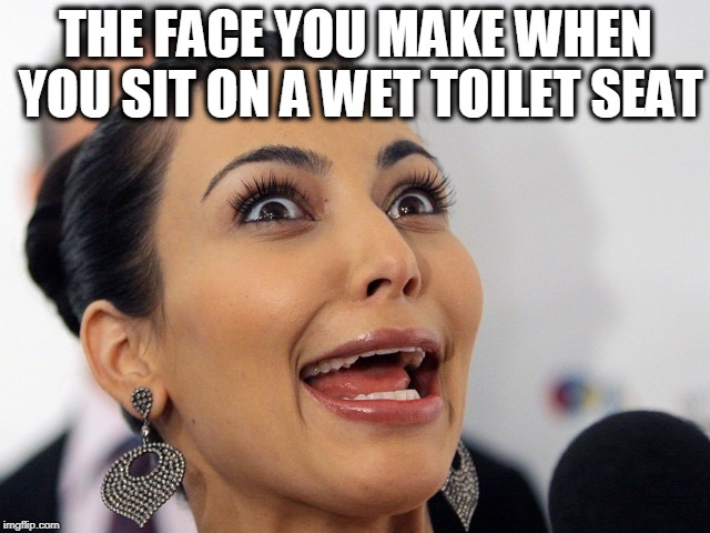 the face you make when you sit on a wet toilet seat | THE FACE YOU MAKE WHEN YOU SIT ON A WET TOILET SEAT | image tagged in toilet,bathroom,wet seat,wet,scream,shocked | made w/ Imgflip meme maker