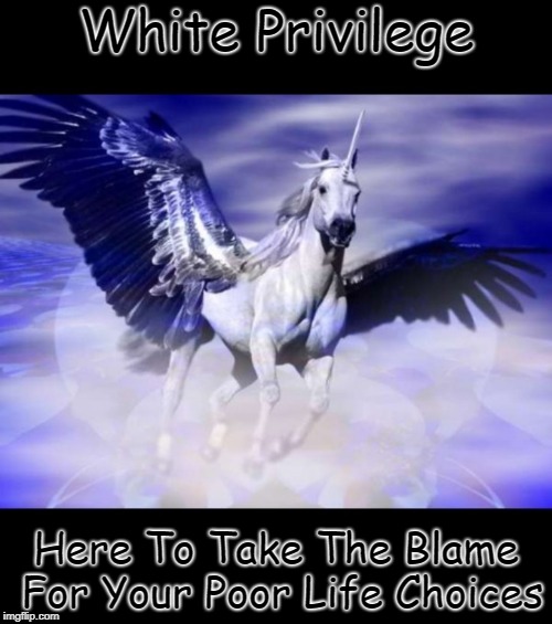 Flying Pegasus Unicorn | White Privilege; Here To Take The Blame For Your Poor Life Choices | image tagged in flying pegasus unicorn,white privilege,racism | made w/ Imgflip meme maker