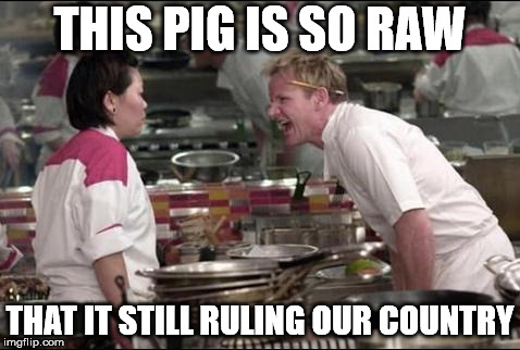 Angry Chef Gordon Ramsay | THIS PIG IS SO RAW; THAT IT STILL RULING OUR COUNTRY | image tagged in memes,angry chef gordon ramsay | made w/ Imgflip meme maker