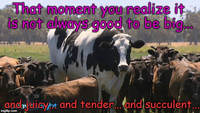Bigger is not always better. | That moment you realize it is not always good to be big... and juicy... and tender... and succulent... | image tagged in funny,cow,giant,delicious,steak | made w/ Imgflip meme maker