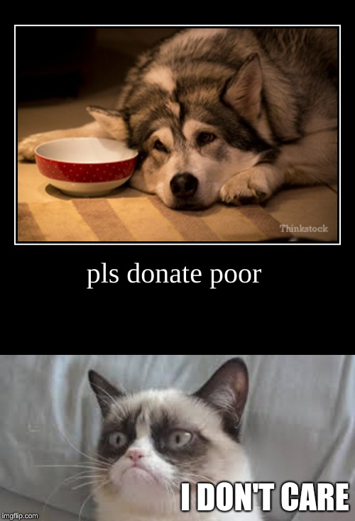 I DON'T CARE | image tagged in grumpy cat,poor dog,evil | made w/ Imgflip meme maker