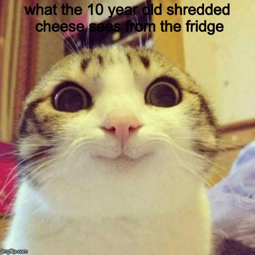 Life through the eyes of shredded cheese | what the 10 year old shredded cheese sees from the fridge | image tagged in memes,smiling cat | made w/ Imgflip meme maker