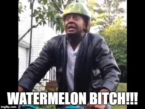 Marlon Webb Watermelon | WATERMELON B**CH!!! | image tagged in marlon webb watermelon | made w/ Imgflip meme maker