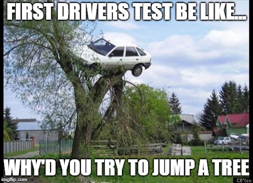 Secure Parking | FIRST DRIVERS TEST BE LIKE... WHY'D YOU TRY TO JUMP A TREE | image tagged in memes,secure parking | made w/ Imgflip meme maker