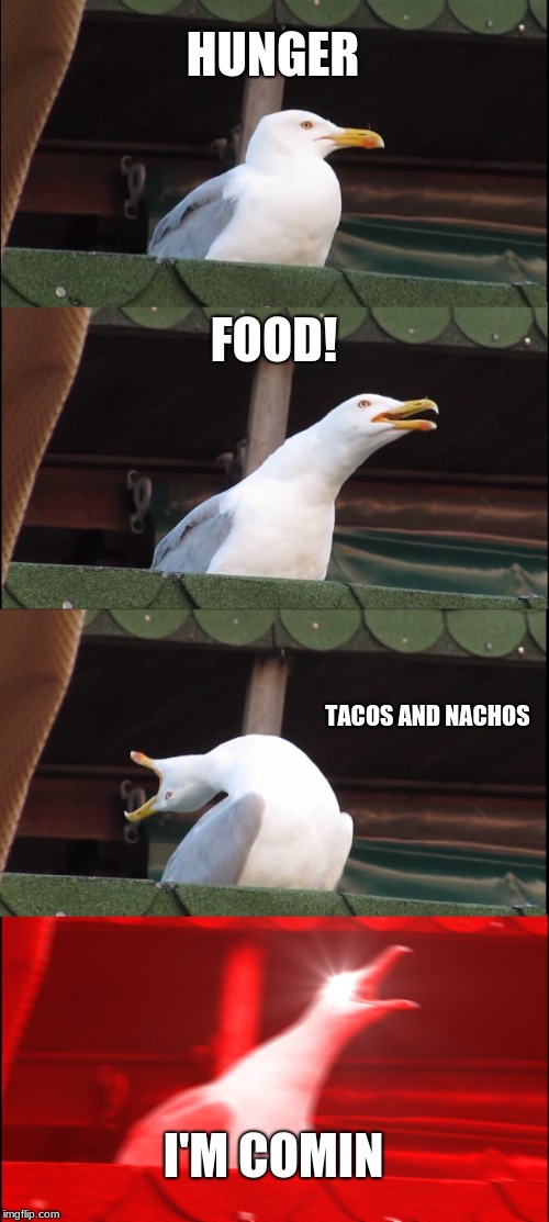 Inhaling Seagull | HUNGER; FOOD! TACOS AND NACHOS; I'M COMIN | image tagged in memes,inhaling seagull | made w/ Imgflip meme maker