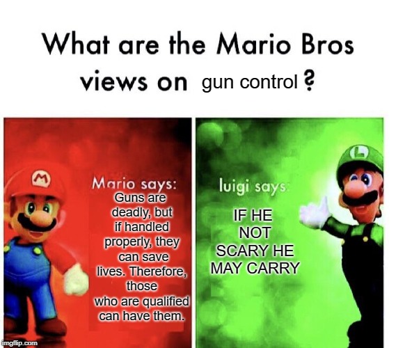What are the mario bros views on:      ? | gun control; Guns are deadly, but if handled properly, they  can save lives. Therefore, those who are qualified can have them. IF HE NOT SCARY HE MAY CARRY | image tagged in what are the mario bros views on | made w/ Imgflip meme maker