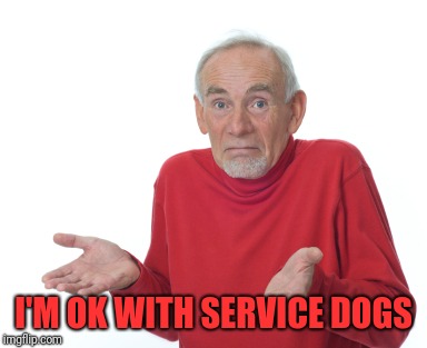 Old Man Shrugging | I'M OK WITH SERVICE DOGS | image tagged in old man shrugging | made w/ Imgflip meme maker