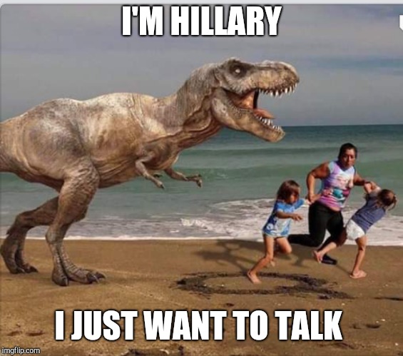 I'M HILLARY; I JUST WANT TO TALK | image tagged in voting,trump wall,actors,hillary clinton | made w/ Imgflip meme maker