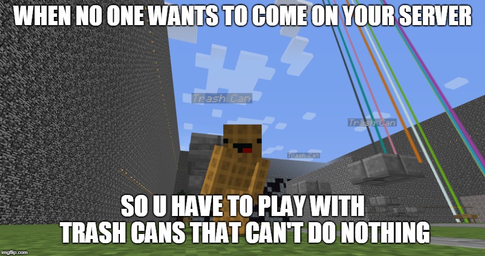 Trash can time | WHEN NO ONE WANTS TO COME ON YOUR SERVER; SO U HAVE TO PLAY WITH TRASH CANS THAT CAN'T DO NOTHING | image tagged in trash can,waffle,minecraft | made w/ Imgflip meme maker