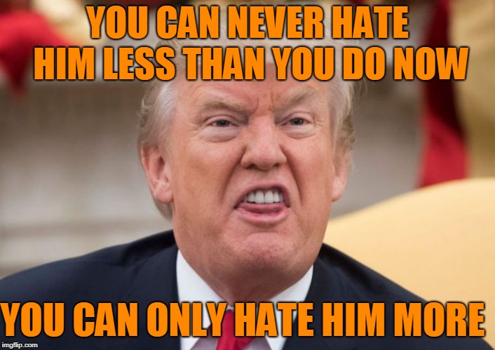 YOU CAN NEVER HATE HIM LESS THAN YOU DO NOW; YOU CAN ONLY HATE HIM MORE | image tagged in trump,ugliest american | made w/ Imgflip meme maker