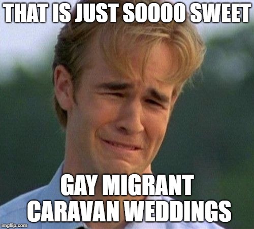 1990s First World Problems | THAT IS JUST SOOOO SWEET; GAY MIGRANT CARAVAN WEDDINGS | image tagged in memes,1990s first world problems | made w/ Imgflip meme maker