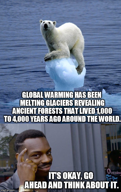 Just google "ancient forest revealed by melting glacier" to see the list  | GLOBAL WARMING HAS BEEN MELTING GLACIERS REVEALING ANCIENT FORESTS THAT LIVED 1,000 T0 4,000 YEARS AGO AROUND THE WORLD. IT'S OKAY, GO AHEAD AND THINK ABOUT IT. | image tagged in global warming polar bear,memes,roll safe think about it | made w/ Imgflip meme maker