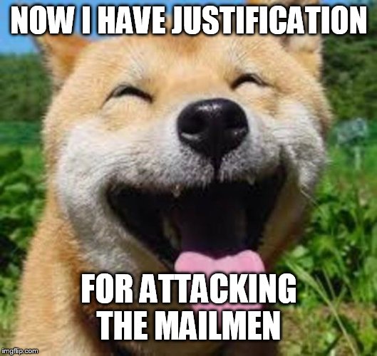 Happy Doge | NOW I HAVE JUSTIFICATION FOR ATTACKING THE MAILMEN | image tagged in happy doge | made w/ Imgflip meme maker