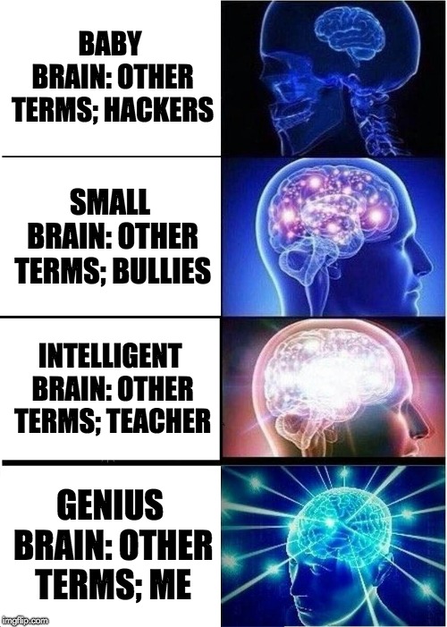 Expanding Brain Meme | BABY BRAIN: OTHER TERMS; HACKERS; SMALL BRAIN: OTHER TERMS; BULLIES; INTELLIGENT BRAIN: OTHER TERMS; TEACHER; GENIUS BRAIN: OTHER TERMS; ME | image tagged in memes,expanding brain | made w/ Imgflip meme maker
