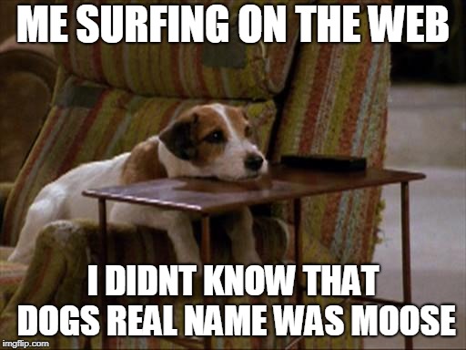 ME SURFING ON THE WEB; I DIDNT KNOW THAT DOGS REAL NAME WAS MOOSE | image tagged in frasier,eddie,dog | made w/ Imgflip meme maker