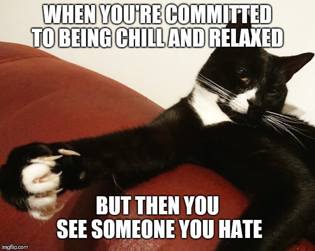Cute with CLAWS | WHEN YOU'RE COMMITTED TO BEING CHILL AND RELAXED; BUT THEN YOU SEE SOMEONE YOU HATE | image tagged in claws,grumpy cat,cat,angry,hate,loki | made w/ Imgflip meme maker